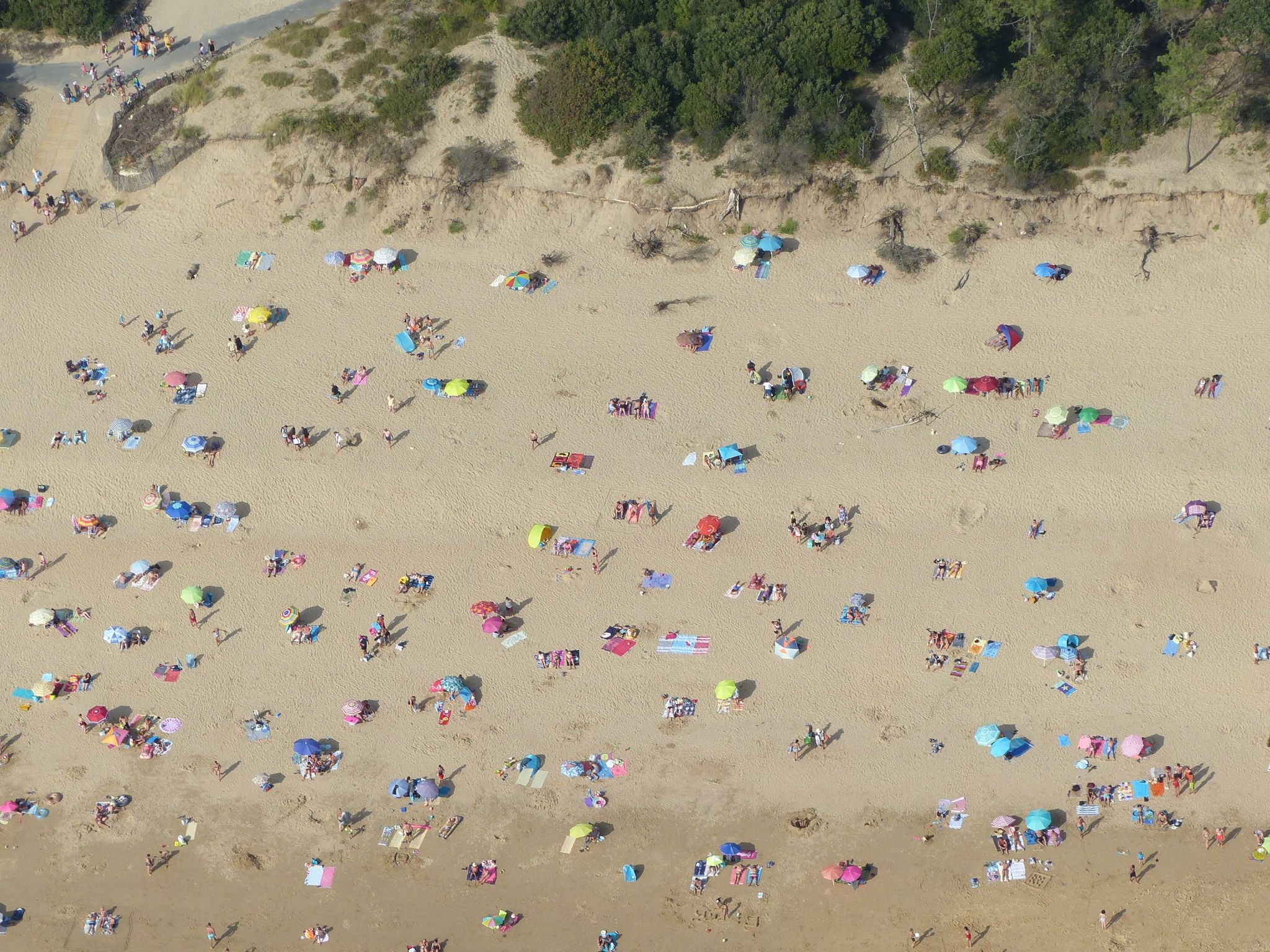 Plage avec parasols P1210891